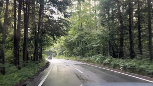 八ヶ岳の道