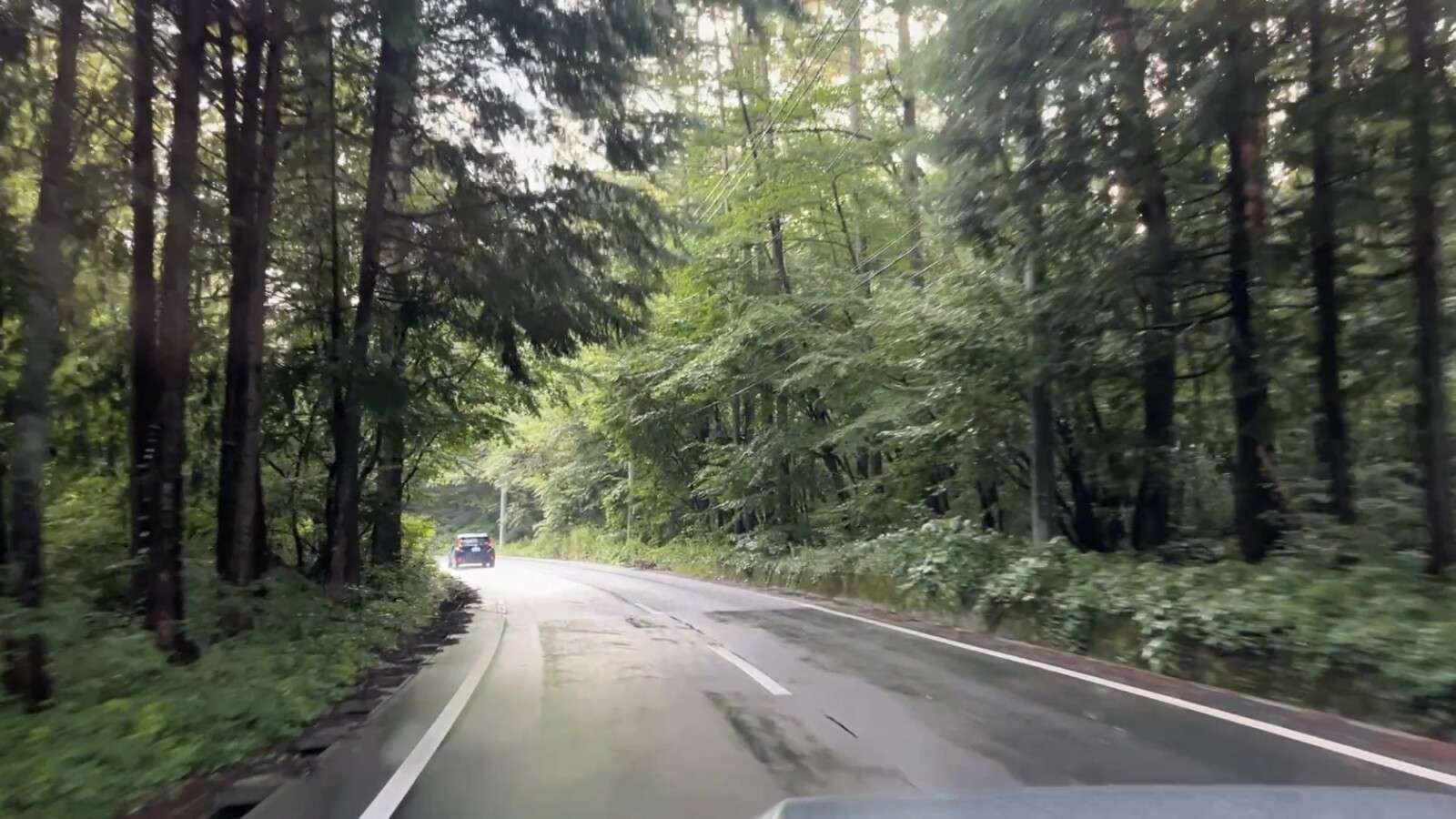 八ヶ岳の道
